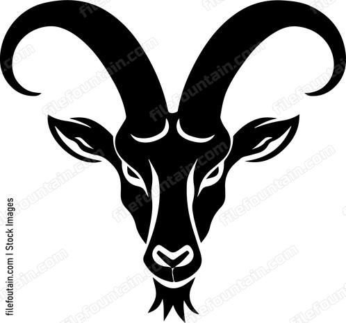 Ibex Head