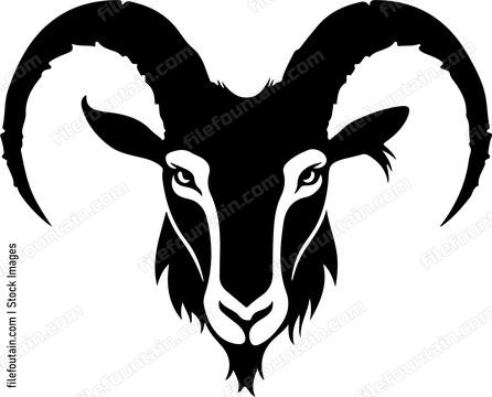 Ibex Head