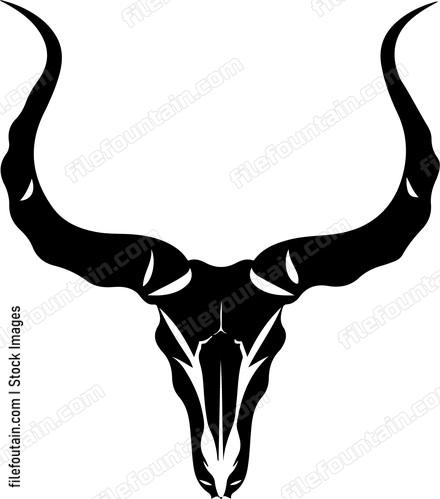 Impala Skull