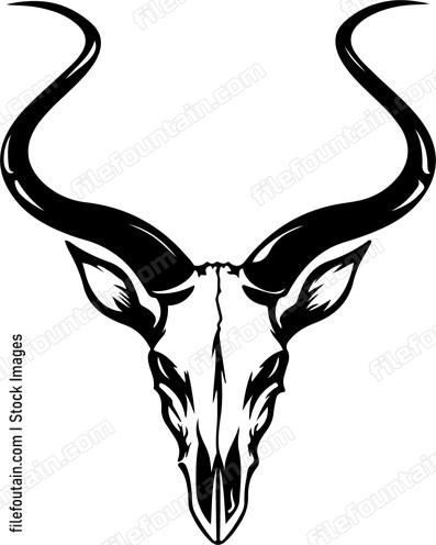 Impala Skull