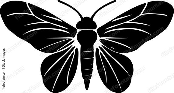 Insect Wings