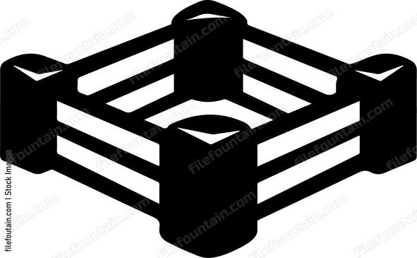Inside Boxing Ring