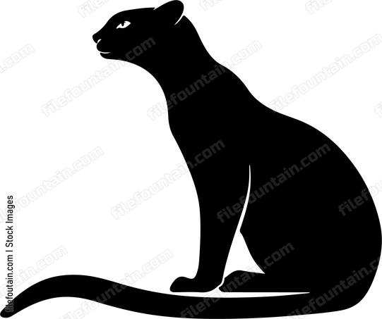 Jaguarundi