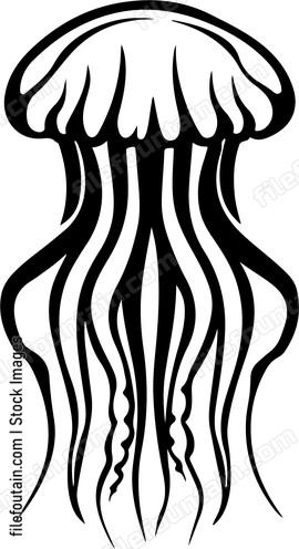 Jellyfish