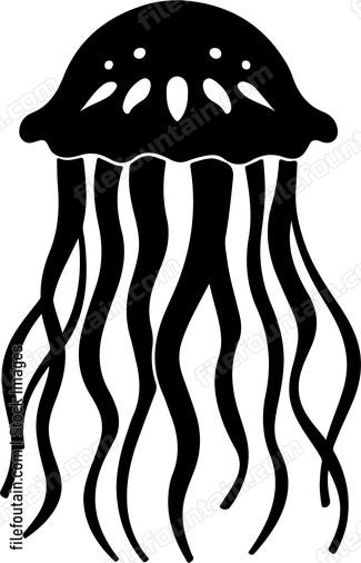 Jellyfish