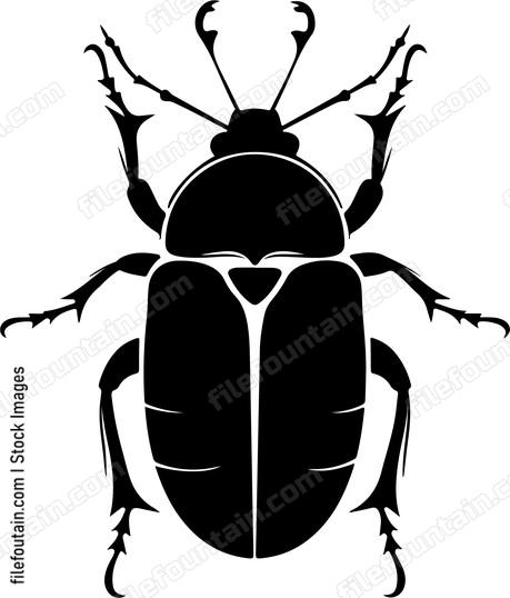 Jewel Beetle