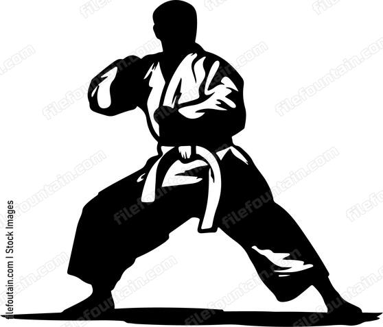 Jiu jitsu