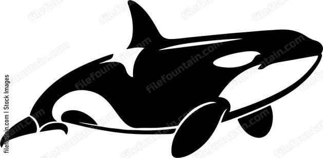 Killer Whale