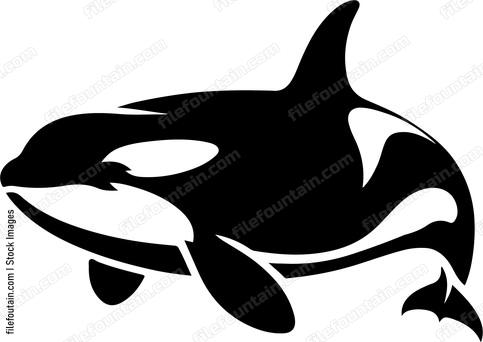 Killer Whale