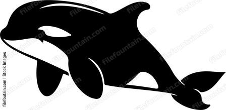 Killer Whale