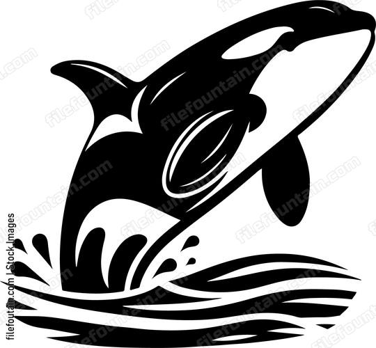 Killer Whale