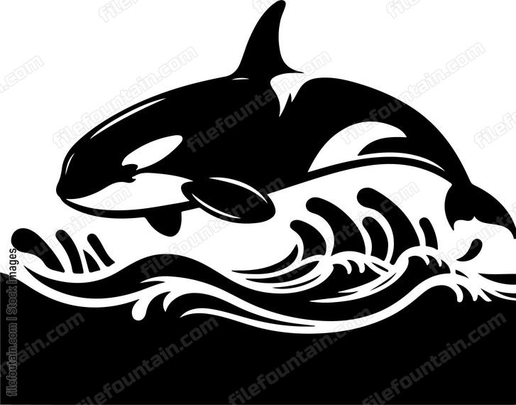 Killer Whale