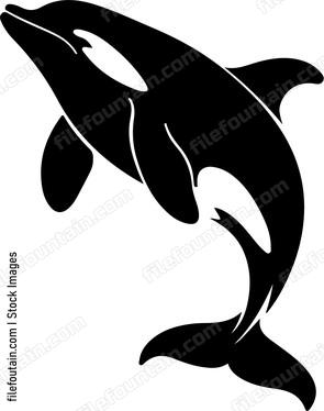 Killer Whale