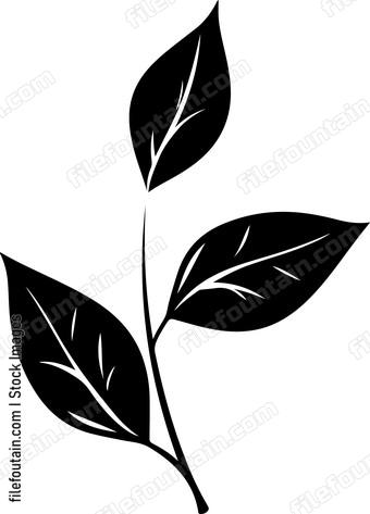 Leaf Branch