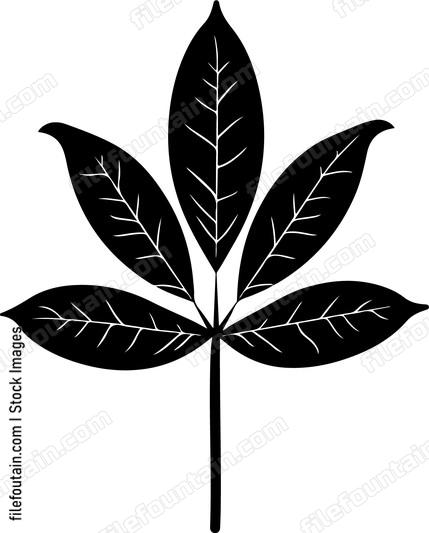 leaf with veins