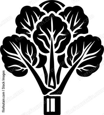 Leafy green vegetable