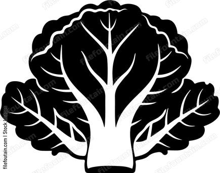 leafy vegetable
