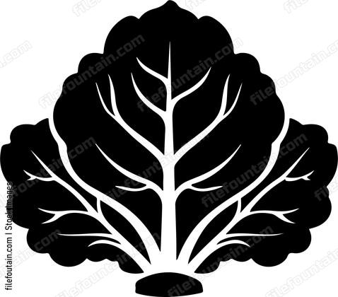 leafy vegetable