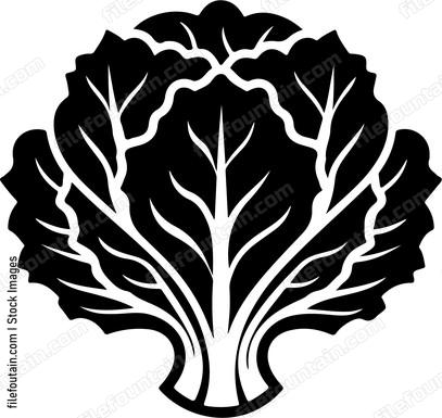leafy vegetable