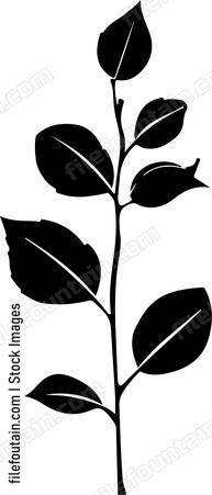 Leaves Of Rose Stem