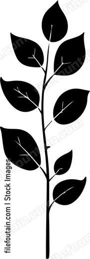 Leaves Of Rose Stem