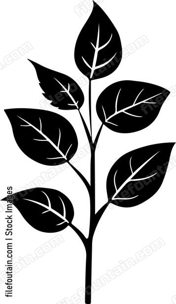 Leaves Of Rose Stem