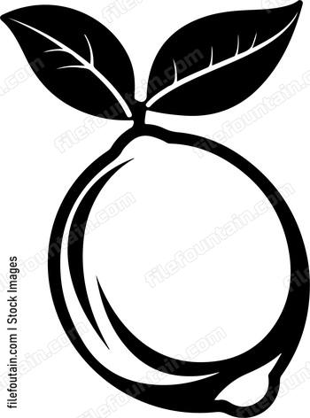 Lemon Design