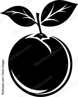 Lemon Design