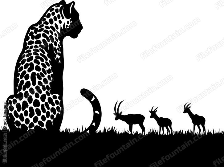 Leopard observing a distant herd of antelopes with interest