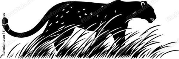 Leopard prowling stealthily through tall grass