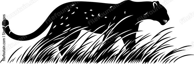 Leopard prowling stealthily through tall grass