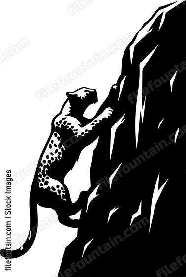 Leopard showcasing its climbing prowess on a rocky cliff