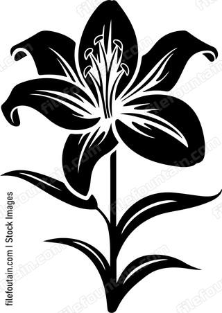 Lily Flower