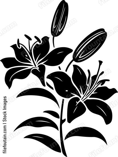 Lily Flowers