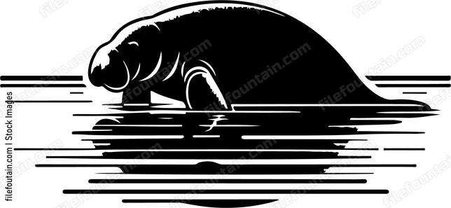 ManateexpeacefullyxglidingxthroughxthexcalmxwatersxofxanxAmazonianxtributaryx