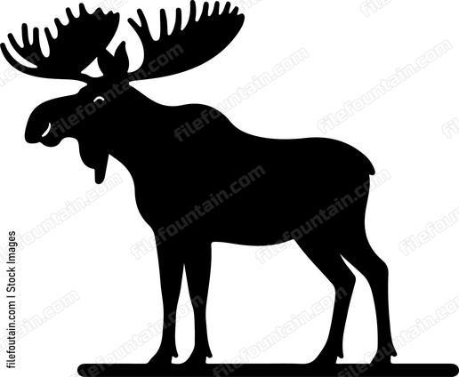 Moose