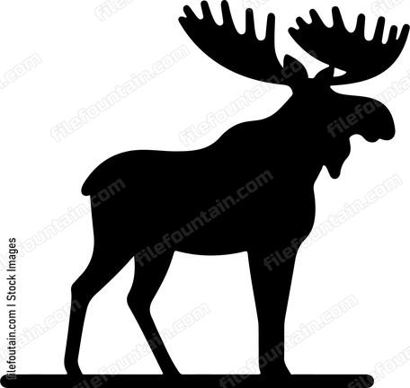 Moose