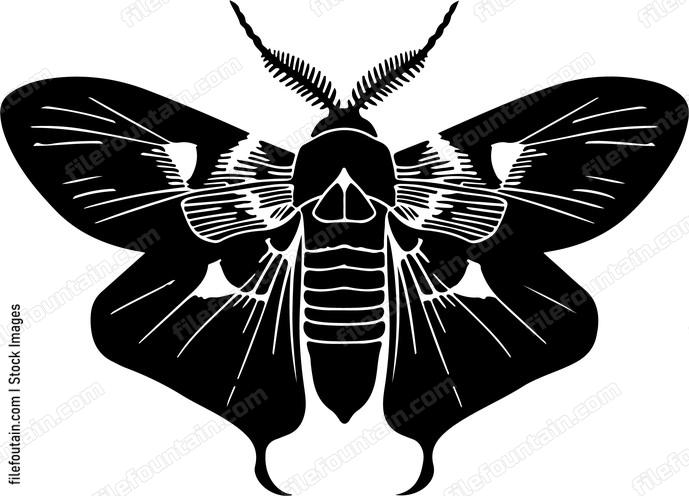 Mothpng