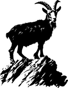 Mountain Goat