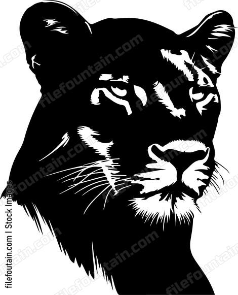Mountain Lion