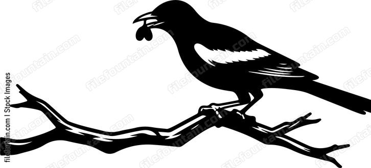 oriole evading capture from a lurking predator