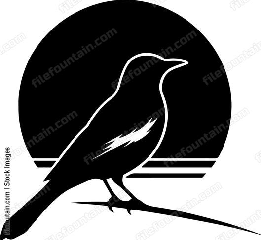 oriole silhouetted against the backdrop of a fiery sunset