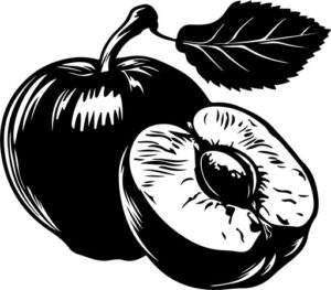 pair of plums with leaf