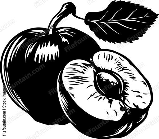 pair of plums with leaf