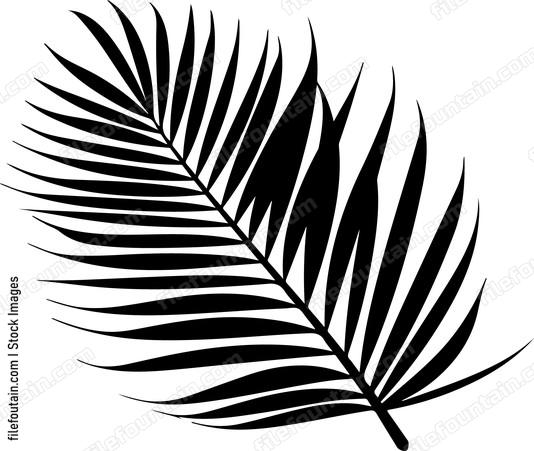 Palm Leaf
