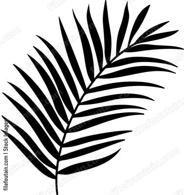 Palm Leaf