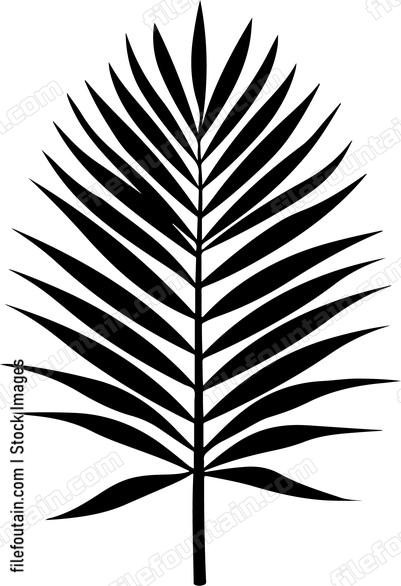 Palm Leaf