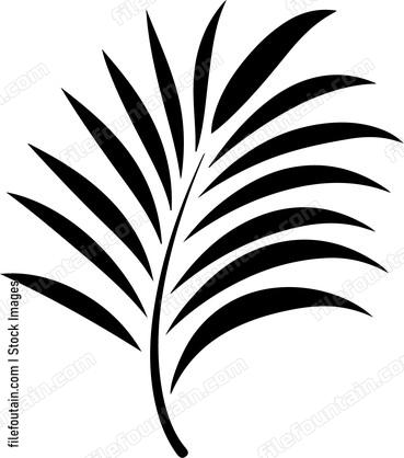 Palm Leaves