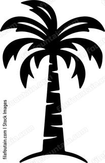 Palm Tree