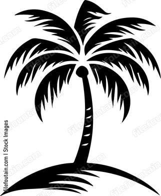 Palm Tree
